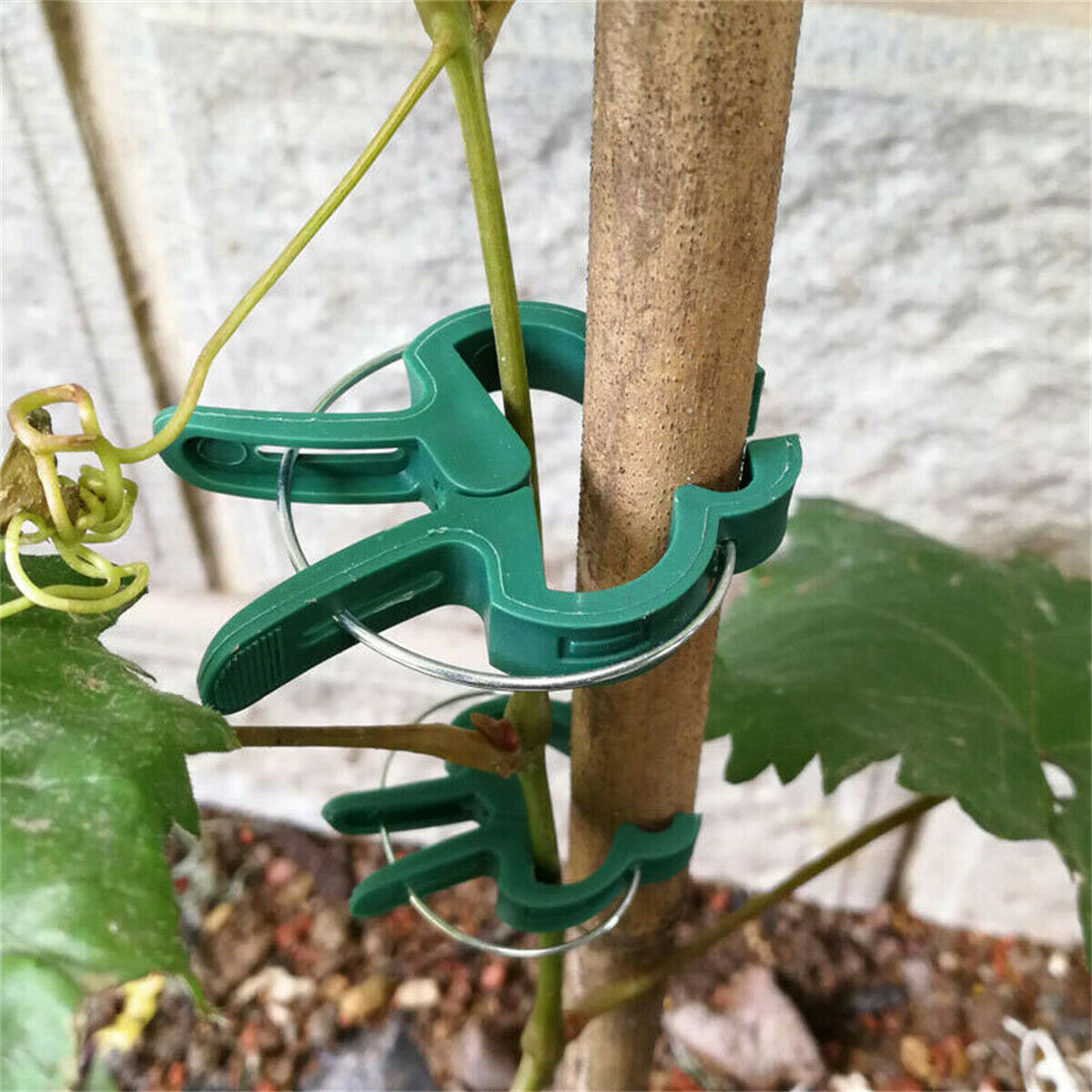 Free shipping- 20PCS Garden Plant Clips Tomato Tie Stem Orchid Support Weatherproof Grow Training